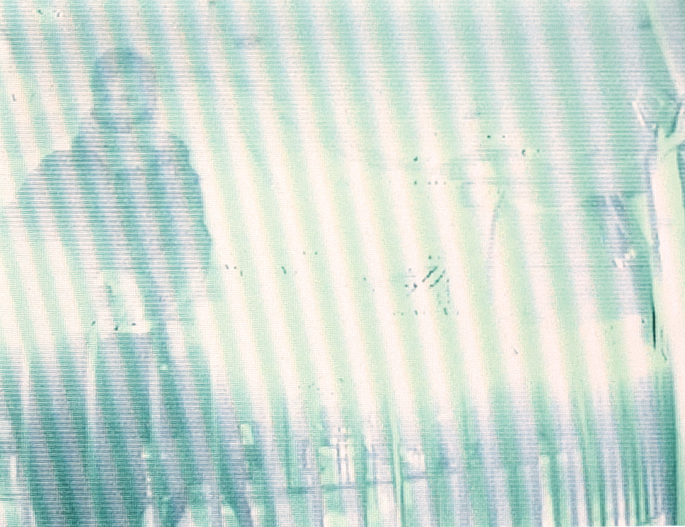 clmens_live.jpg