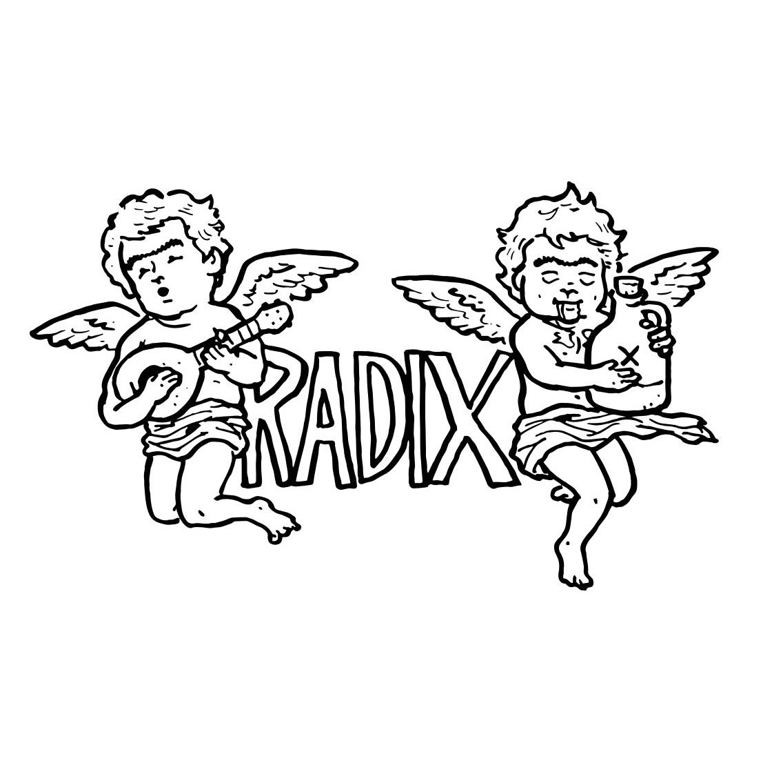 Radix