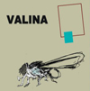 45068valina.jpg