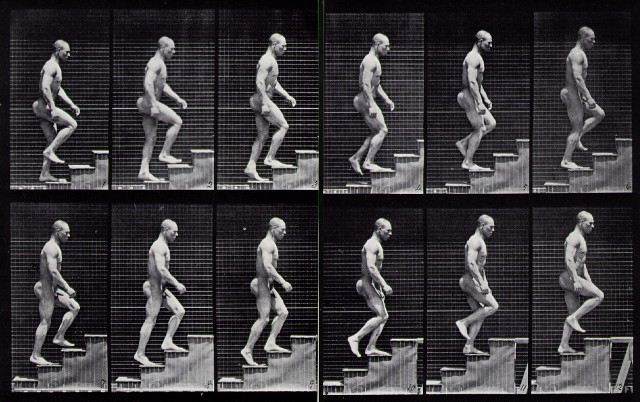 45833Edward-muybridge_ascending_stairs.jpg